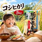 令和8年度産 こしひかり 5kg