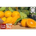 河内みかん堂のみかん 約9kg