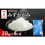 新米 みずかがみ 10kg
