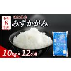 新米 みずかがみ