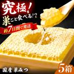 巣みつ 300g×5箱