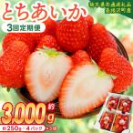 とちあいか 合計3 000g