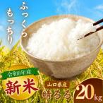令和8年度産 新米 晴るる 白米 20kg
