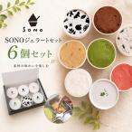 SONOジェラートセット6個セット
