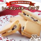 レーズンバターサンドクッキー 10個入り