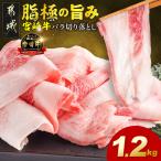 牛肉 ロース 宮崎牛ロース&amp;赤身スライス1.2kg