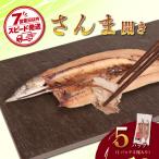 さんま 切身 真空 5パック