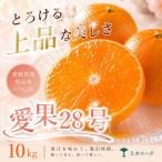 あいか28号 紅まどんな と同品種 10kg