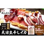 イカ 天日生干しイカ 一本釣り 鰺ヶ沢名物