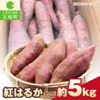 さつまいも 紅はるか 約5kg