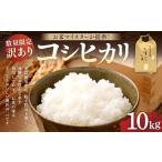 令和7年産 コシヒカリ 10kg