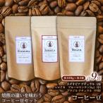 計100g×3袋 ×3セットコーヒー豆