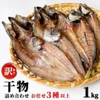 干物詰め合わせ お任せ3種以上 1kg