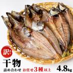 干物詰め合わせ お任せ3種以上 4.8kg