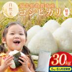 令和7年産米 自然米コシヒカリ 5kg