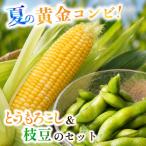 夏の黄金コンビ 朝採り とうもろこし 枝豆