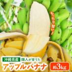 fu.... налог поле человек. Apple banana примерно 3kg - banana ... маленький ............ дозревание Okinawa префектура прямая поставка от производителя фрукты фрукты Nankoku утро еда ... Okinawa префектура . -слойный . блок 