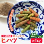 畑人のヒハツ 約1kg