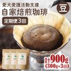 コーヒー豆 ann s cafe 100g×3種