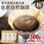 コーヒー豆 ann s cafe 100g×3種
