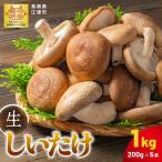 菌床 生しいたけ 200g×5袋