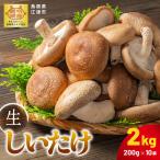 菌床 生しいたけ 200g×10袋