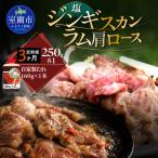 塩ジンギスカン250g×1 味付けジンギスカン250g×1