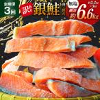 3回 定期便 訳あり 三陸産 銀鮭 切身 約2.2kg