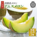 アムスメロン 特選3L玉 2個
