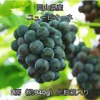 ニューピオーネ 2房