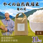 令和8年産 やくの自然栽培米 コシヒカリ
