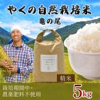 令和8年産 やくの自然栽培米 イセヒカリ