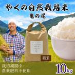令和8年産 やくの自然栽培米 イセヒカリ