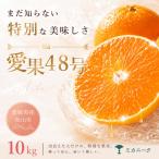 あいか48号 10kg