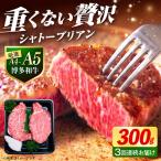 ヒレ シャトーブリアン ステーキ 300g