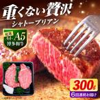 ヒレ シャトーブリアン ステーキ 300g
