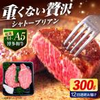 ヒレ シャトーブリアン ステーキ 300g