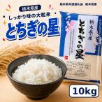 お米 白米 とちぎの星 10kg