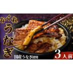 かくれ うなぎ誕生の店 川八 おうちでかくれうなぎ 3人前
