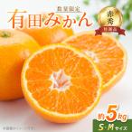有田みかん S Мサイズ 約5kg_BF6005n