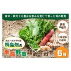 桐島畑の季節野菜詰め合わせ 7種類 Fkh-A10