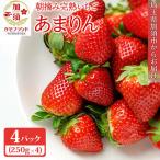 いちご あまりん 250g入り×4パック