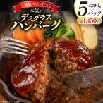 BJ638 デミグラスハンバーグ290g 5パック
