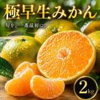 愛媛 極早生 みかん 2kg