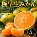 愛媛 極早生 みかん 5kg