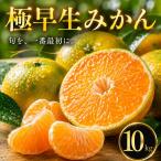 愛媛 極早生 みかん 10kg