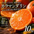 カラマンダリン 10kg