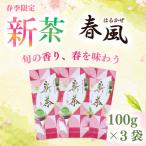 2026年度産 新茶 春風100g×3袋