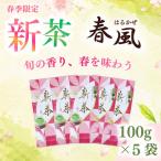 2026年度産 新茶 春風100g×5袋