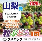 手軽に楽しむ 1.0kg